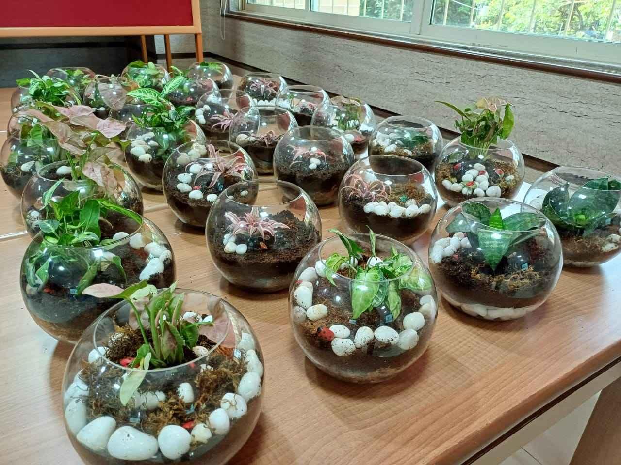 Thakur School of Architecture and Planning Mumbai Images photo 14